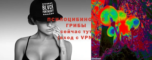 молекула духа Волосово