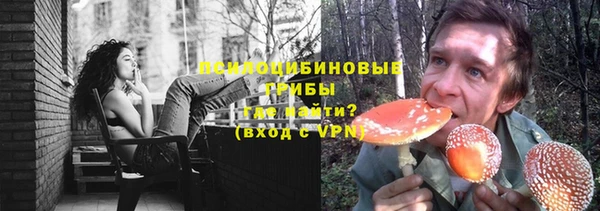 молекула духа Волосово
