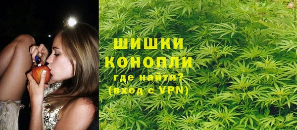 молекула духа Волосово
