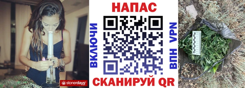Купить где  Подпорожье  Марихуана план 